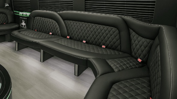 ann arbor 14 passenger sprinter limousine interior