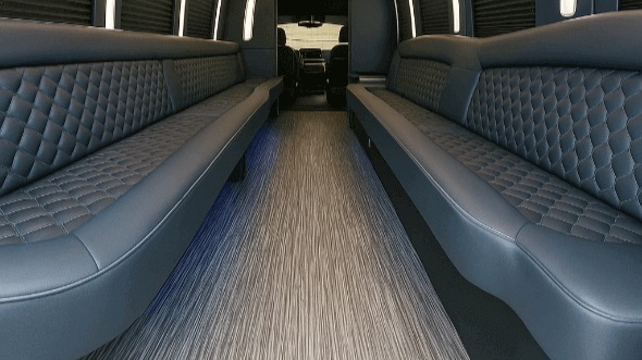 ann arbor 30 passenger party bus rental
