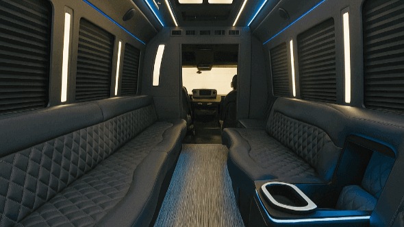 ann arbor party bus rentals