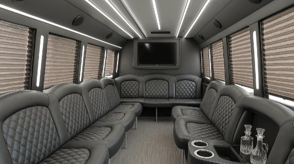 grand rapids 20 passenger party bus